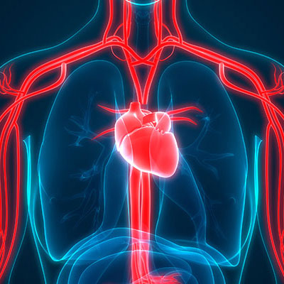 Lung combined cardiac lung transplantation